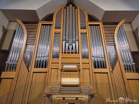 Ogólny widok instrumentu