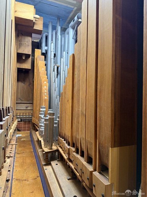 Wnętrze szafy organowej