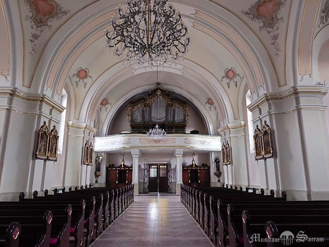 Prospekt (widok z prezbiterium)